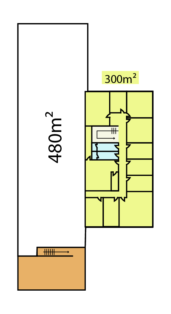 Plan Architecte 1er Étage Bureaux Open Space et Salle de Réunion